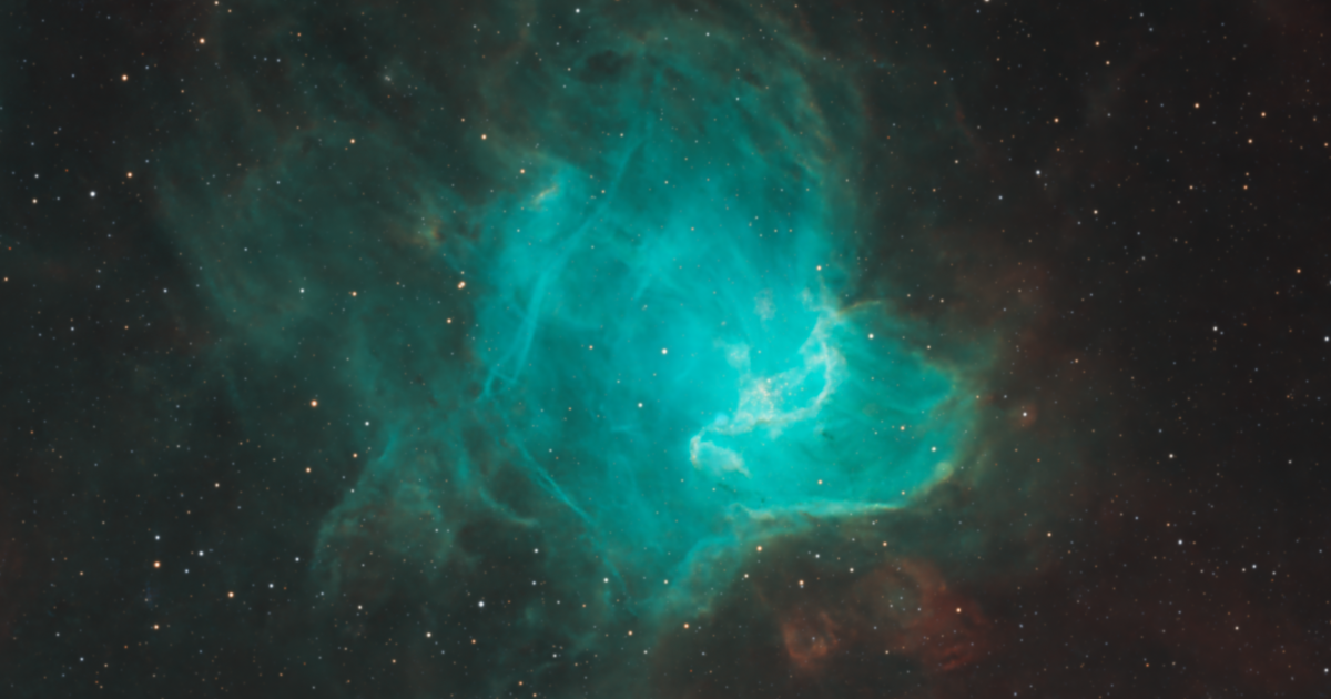 ★NGC★最高鑑定★2021 カナダ 20ドル ティラノサウルス PF70 FR ssc2009-15a3.jpg?1603794241